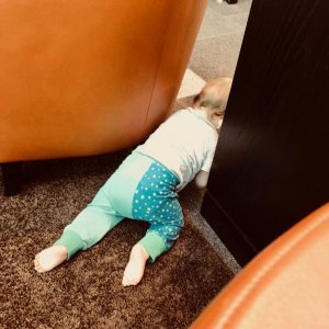 Mama hält Kaffeeklatsch und der kleine erkundet die Bar