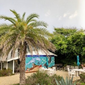 Blick auf das Cottage