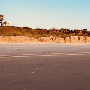 St. Augustine