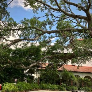 St. Augustine