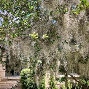St. Augustine