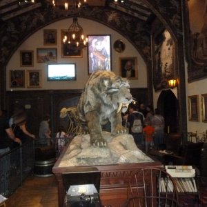 Voletarium Pre Show 2