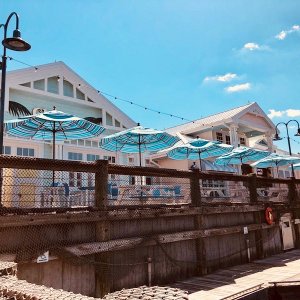 IMG 6609
