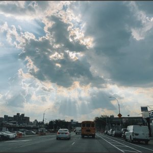 IMG 7704
