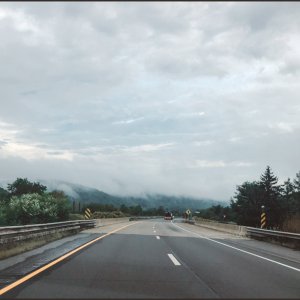 IMG 7772
