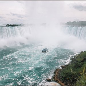IMG 7811