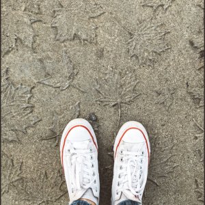 IMG 7829