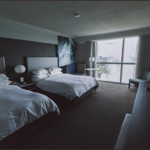 IMG 9048