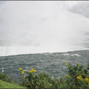 IMG 9063