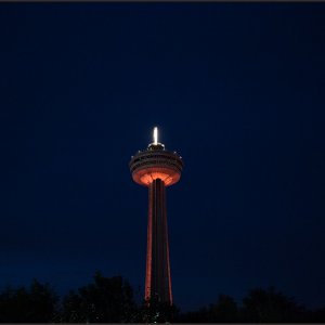 IMG 9131