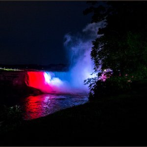 IMG 9145