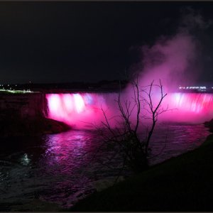 IMG 9171