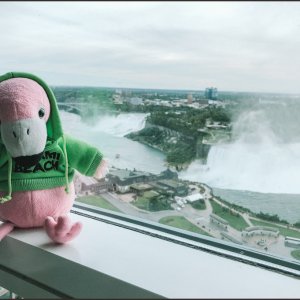 IMG 7893