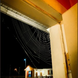 IMG 7985