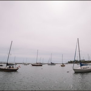 IMG 9399
