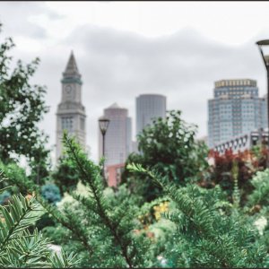 IMG 3012
