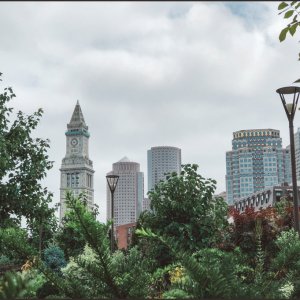 IMG 3013