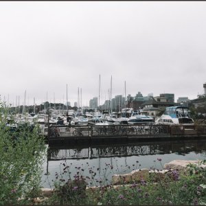 IMG 9524