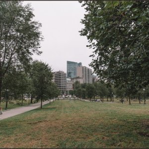 IMG 9539