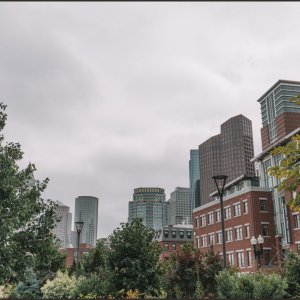 IMG 9549