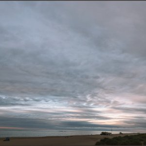 IMG 3255