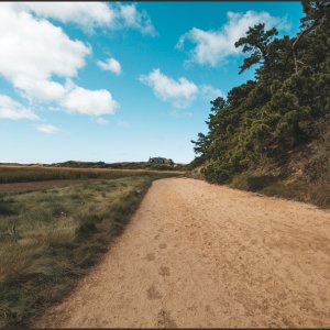 IMG 9761