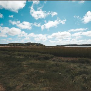 IMG 9764