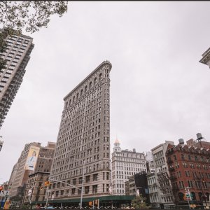 IMG 0081