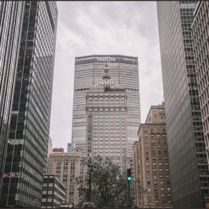 IMG 0115