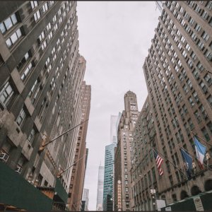 IMG 0131