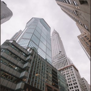 IMG 0134