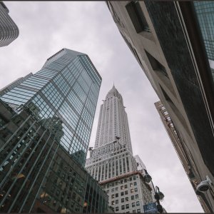 IMG 0135