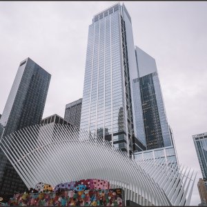 IMG 0137