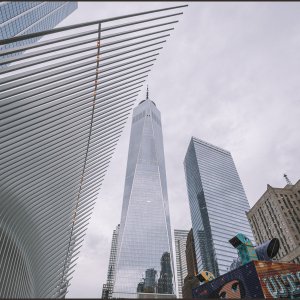 IMG 0149