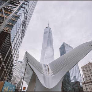 IMG 0152