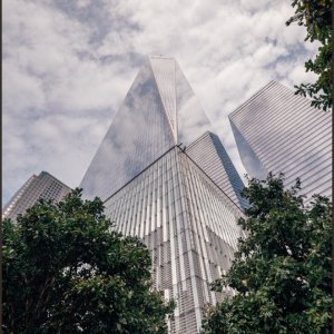 IMG 0202
