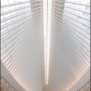 IMG 0245