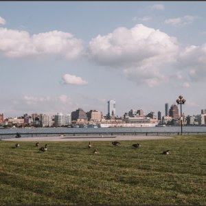 IMG 0279