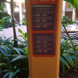 20190822_084638.jpg