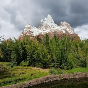 20190823_160156.jpg