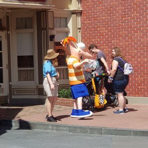 20190824_151117.jpg
