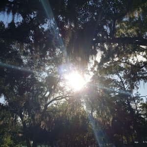 20190824_181225.jpg