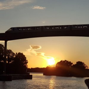 20190824_194543.jpg