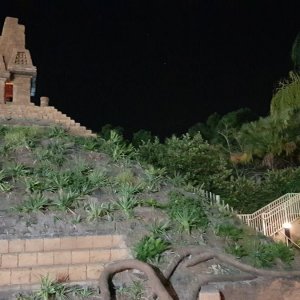 20190824_221153.jpg