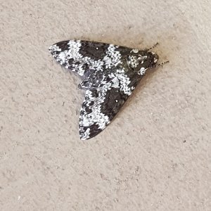 20190825_082552.jpg