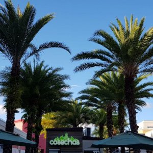 20190825_183438.jpg