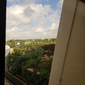 20190826_092631.jpg