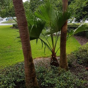 20190827_145351.jpg