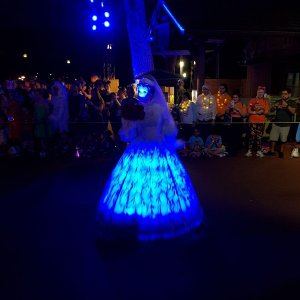20190827_212516.jpg
