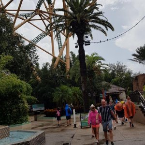 20190828_111735.jpg